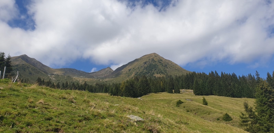 IlPiccoloCanada